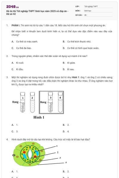 Đề ôn thi Tốt nghiệp THPT Sinh học năm 2025 có đáp án - Đề số 42