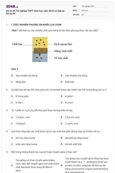 Đề ôn thi Tốt nghiệp THPT Sinh học năm 2025 có đáp án - Đề số 44