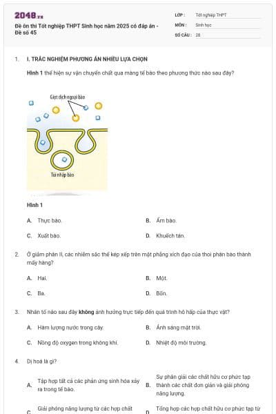 Đề ôn thi Tốt nghiệp THPT Sinh học năm 2025 có đáp án - Đề số 45