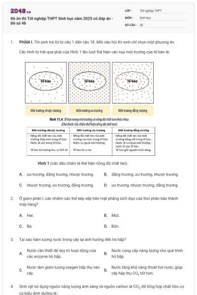 Đề ôn thi Tốt nghiệp THPT Sinh học năm 2025 có đáp án - Đề số 46