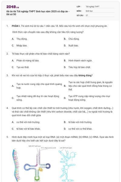 Đề ôn thi Tốt nghiệp THPT Sinh học năm 2025 có đáp án - Đề số 50