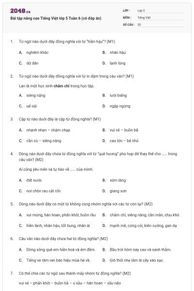 Bài tập nâng cao Tiếng Việt lớp 5 Tuần 6 (có đáp án)