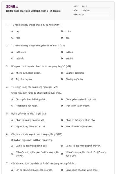 Bài tập nâng cao Tiếng Việt lớp 5 Tuần 7 (có đáp án)