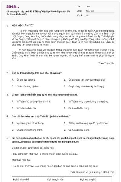 Đề cương ôn tập cuối kì 1 Tiếng Việt lớp 5 (có đáp án) - Đề thi tham khảo số 3