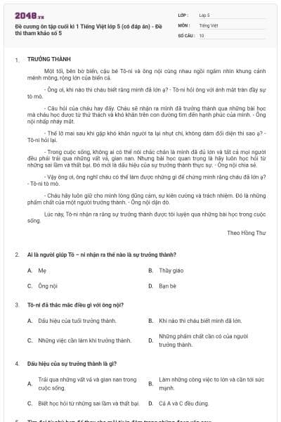 Đề cương ôn tập cuối kì 1 Tiếng Việt lớp 5 (có đáp án) - Đề thi tham khảo số 5