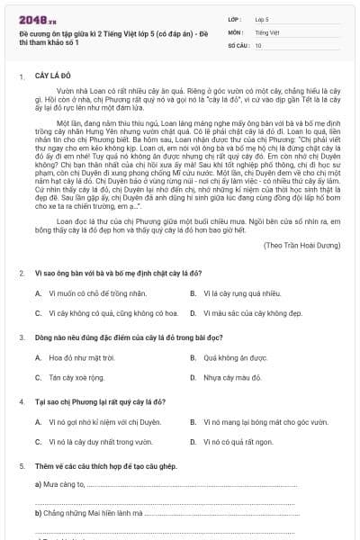 Đề cương ôn tập giữa kì 2 Tiếng Việt lớp 5 (có đáp án) - Đề thi tham khảo số 1
