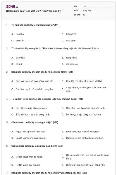 Bài tập nâng cao Tiếng Việt lớp 2 Tuần 9 (có đáp án)