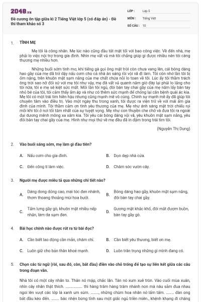 Đề cương ôn tập giữa kì 2 Tiếng Việt lớp 5 (có đáp án) - Đề thi tham khảo số 3