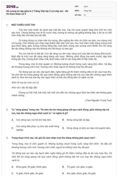Đề cương ôn tập giữa kì 2 Tiếng Việt lớp 5 (có đáp án) - Đề thi tham khảo số 5