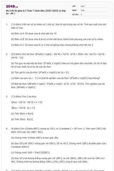 Bộ 5 đề thi giữa kì 2 Toán 7 Cánh diều (2022-2023) có đáp án - Đề 1