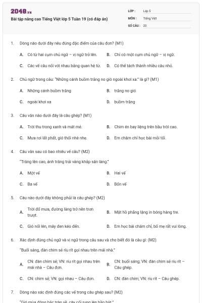 Bài tập nâng cao Tiếng Việt lớp 5 Tuần 19 (có đáp án)