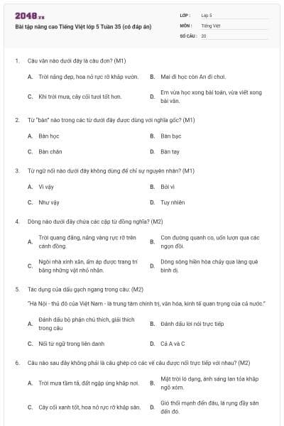 Bài tập nâng cao Tiếng Việt lớp 5 Tuần 35 (có đáp án)