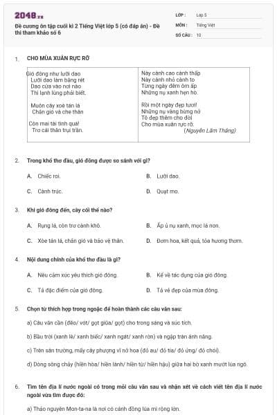 Đề cương ôn tập cuối kì 2 Tiếng Việt lớp 5 (có đáp án) - Đề thi tham khảo số 6