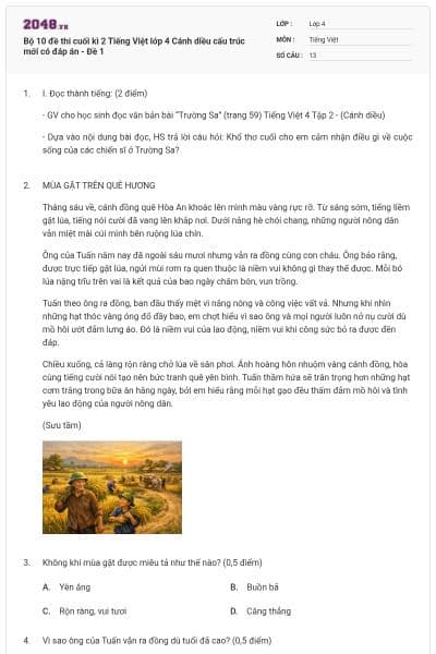 Bộ 10 đề thi cuối kì 2 Tiếng Việt lớp 4 Cánh diều cấu trúc mới có đáp án - Đề 1