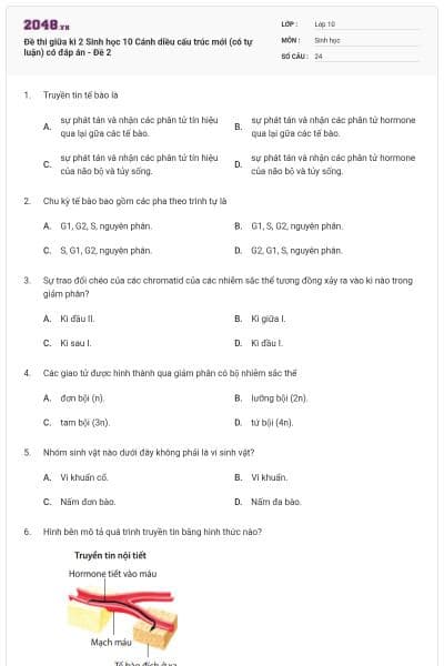 Đề thi giữa kì 2 Sinh học 10 Cánh diều cấu trúc mới (có tự luận) có đáp án - Đề 2