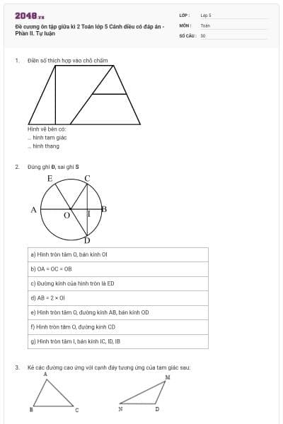 Đề cương ôn tập giữa kì 2 Toán lớp 5 Cánh diều có đáp án - Phần II. Tự luận