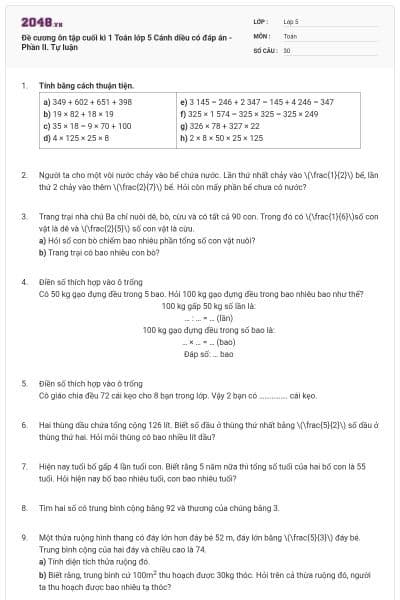 Đề cương ôn tập cuối kì 1 Toán lớp 5 Cánh diều có đáp án - Phần II. Tự luận