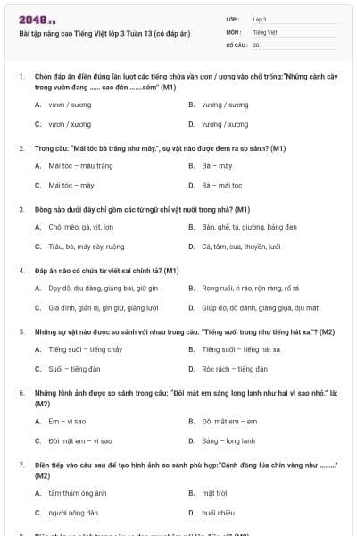 Bài tập nâng cao Tiếng Việt lớp 3 Tuần 13 (có đáp án)