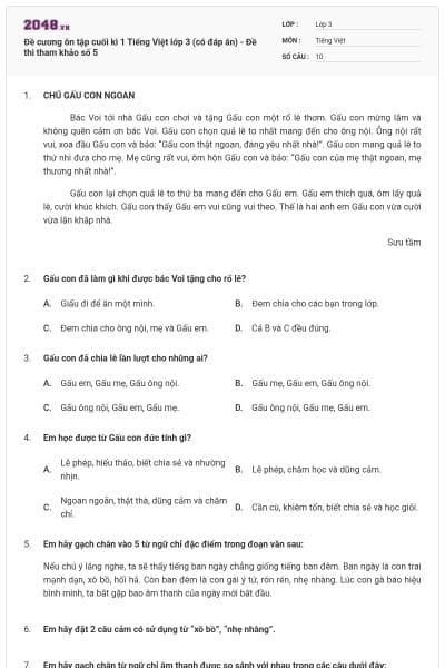 Đề cương ôn tập cuối kì 1 Tiếng Việt lớp 3 (có đáp án) - Đề thi tham khảo số 5