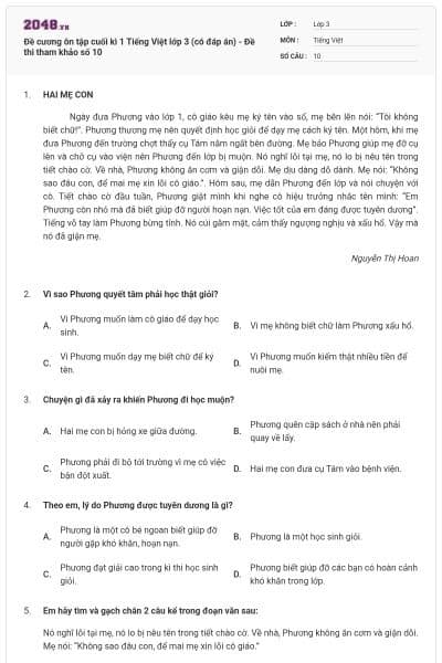 Đề cương ôn tập cuối kì 1 Tiếng Việt lớp 3 (có đáp án) - Đề thi tham khảo số 10