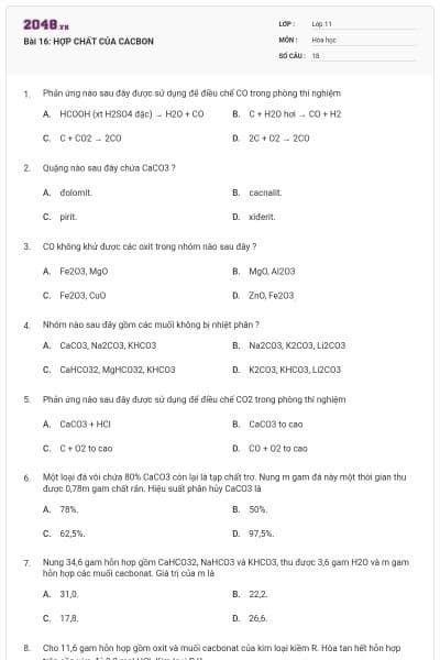 Bài 16: HỢP CHẤT CỦA CACBON