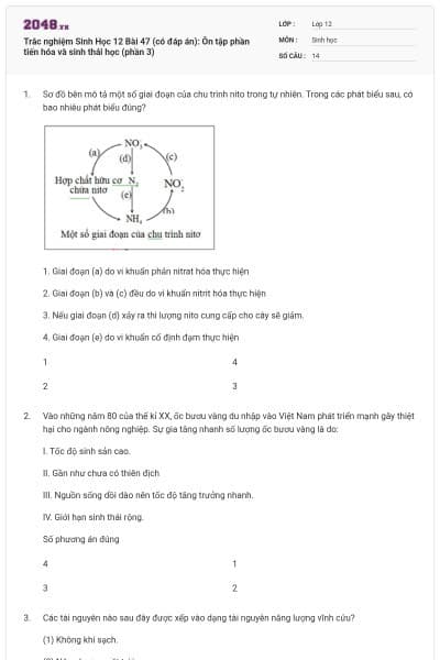 Trắc nghiệm Sinh Học 12 Bài 47 (có đáp án): Ôn tập phần tiến hóa và sinh thái học (phần 3)