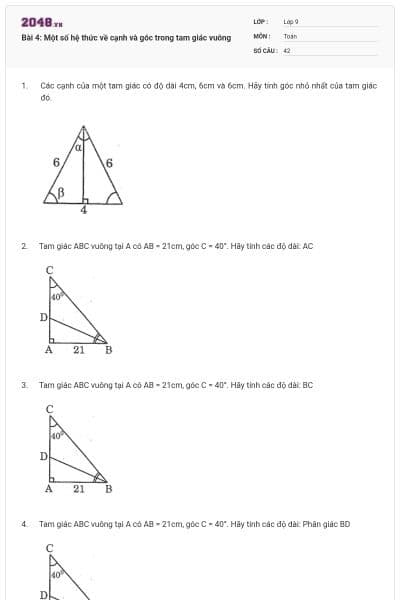 Bài 4: Một số hệ thức về cạnh và góc trong tam giác vuông