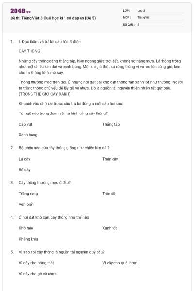 Đề thi Tiếng Việt 3 Cuối học kì 1 có đáp án (Đề 5)