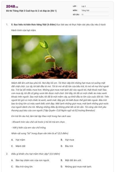 Đề thi Tiếng Việt 3 Cuối học kì 2 có đáp án (Đề 1)