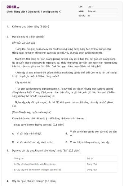 Đề thi Tiếng Việt 4 Giữa học kì 1 có đáp án (Đề 4)