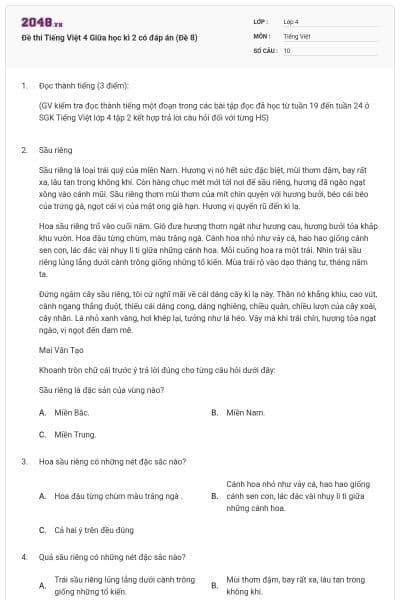 Đề thi Tiếng Việt 4 Giữa học kì 2 có đáp án (Đề 8)