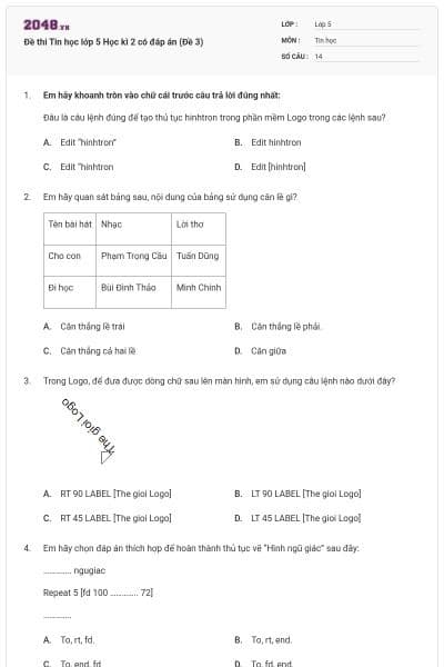 Đề thi Tin học lớp 5 Học kì 2 có đáp án (Đề 3)