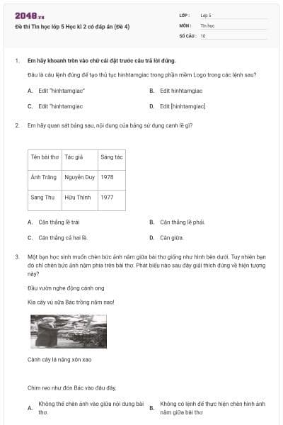 Đề thi Tin học lớp 5 Học kì 2 có đáp án (Đề 4)