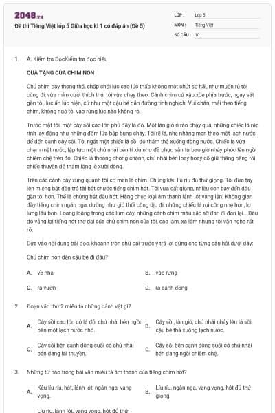 Đề thi Tiếng Việt lớp 5 Giữa học kì 1 có đáp án (Đề 5)