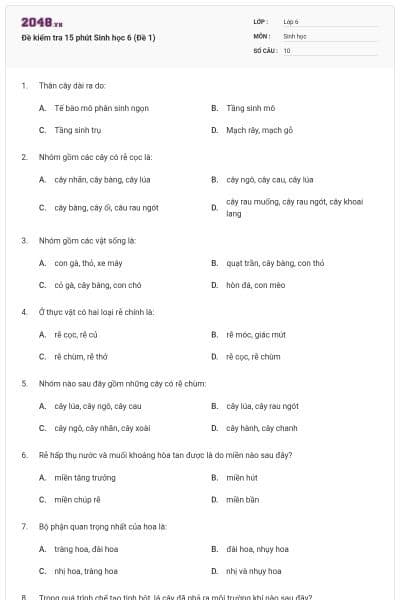 Đề kiểm tra 15 phút Sinh học 6 (Đề 1)