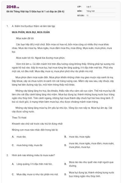 Đề thi Tiếng Việt lớp 5 Giữa học kì 1 có đáp án (Đề 6)