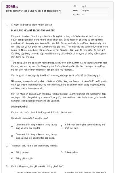 Đề thi Tiếng Việt lớp 5 Giữa học kì 1 có đáp án (Đề 7)