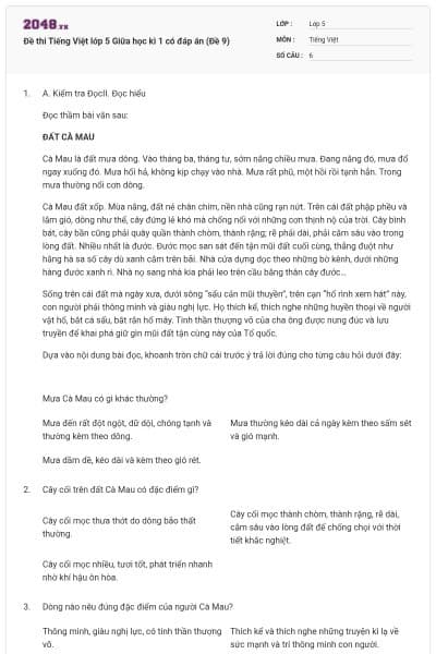 Đề thi Tiếng Việt lớp 5 Giữa học kì 1 có đáp án (Đề 9)