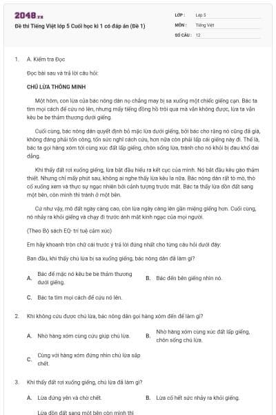 Đề thi Tiếng Việt lớp 5 Cuối học kì 1 có đáp án (Đề 1)