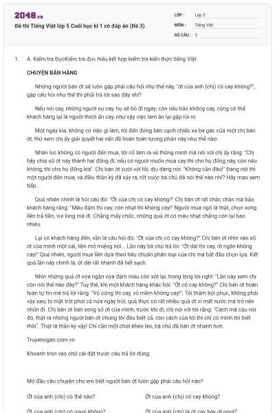 Đề thi Tiếng Việt lớp 5 Cuối học kì 1 có đáp án (Đề 3)