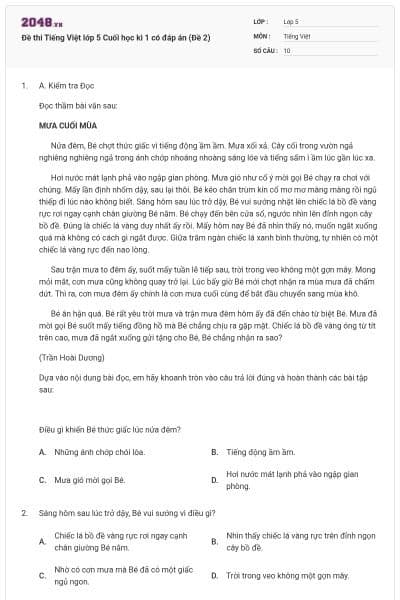 Đề thi Tiếng Việt lớp 5 Cuối học kì 1 có đáp án (Đề 2)