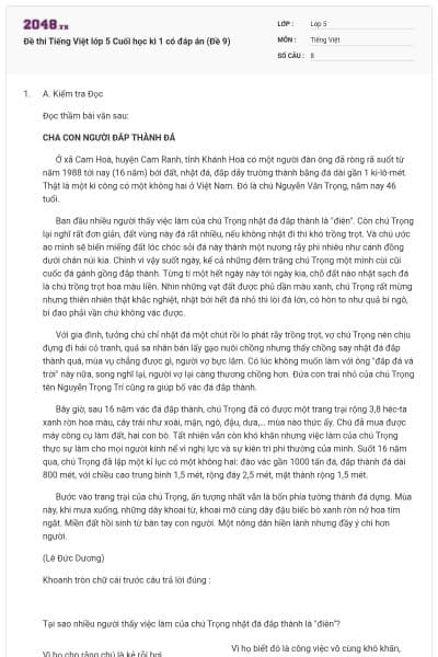 Đề thi Tiếng Việt lớp 5 Cuối học kì 1 có đáp án (Đề 9)