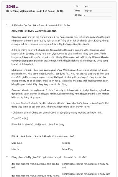 Đề thi Tiếng Việt lớp 5 Cuối học kì 1 có đáp án (Đề 10)