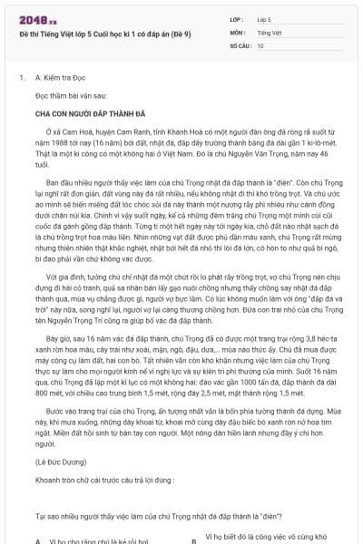Đề thi Tiếng Việt lớp 5 Cuối học kì 1 có đáp án (Đề 9)