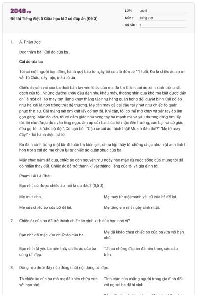 Đề thi Tiếng Việt 5 Giữa học kì 2 có đáp án (Đề 3)