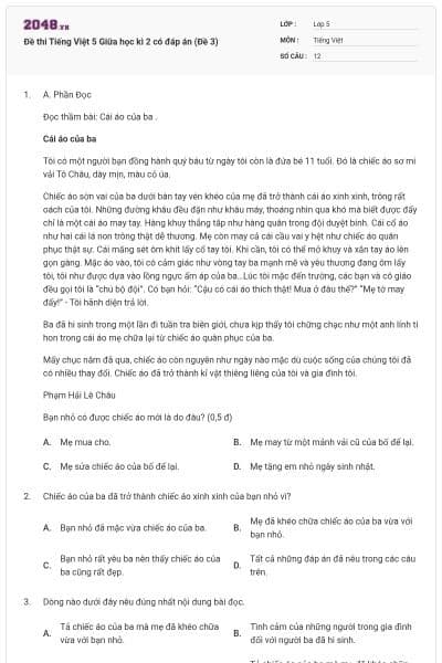 Đề thi Tiếng Việt 5 Giữa học kì 2 có đáp án (Đề 3)