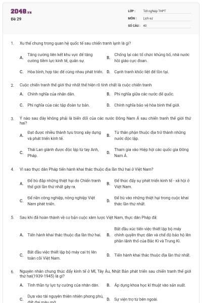 Đề 29