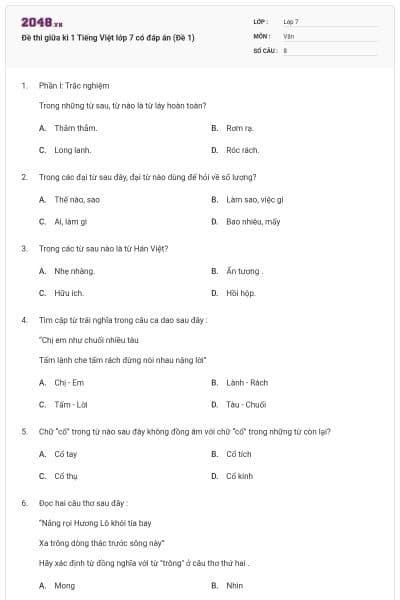 Đề thi giữa kì 1 Tiếng Việt lớp 7 có đáp án (Đề 1)