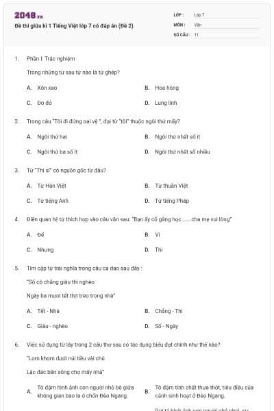 Đề thi giữa kì 1 Tiếng Việt lớp 7 có đáp án (Đề 2)