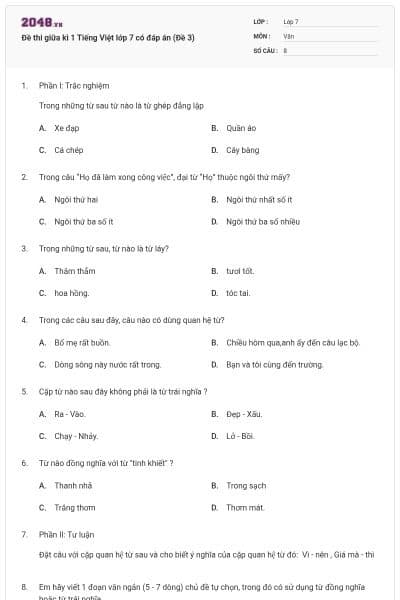 Đề thi giữa kì 1 Tiếng Việt lớp 7 có đáp án (Đề 3)